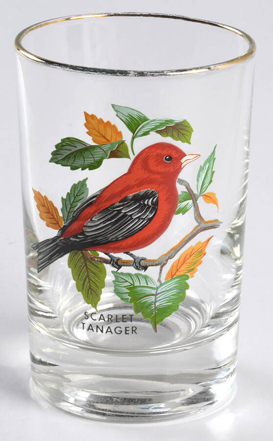 American Songbirds 4 Oz Flat Tumbler by West Virginia Glass Specialty-1