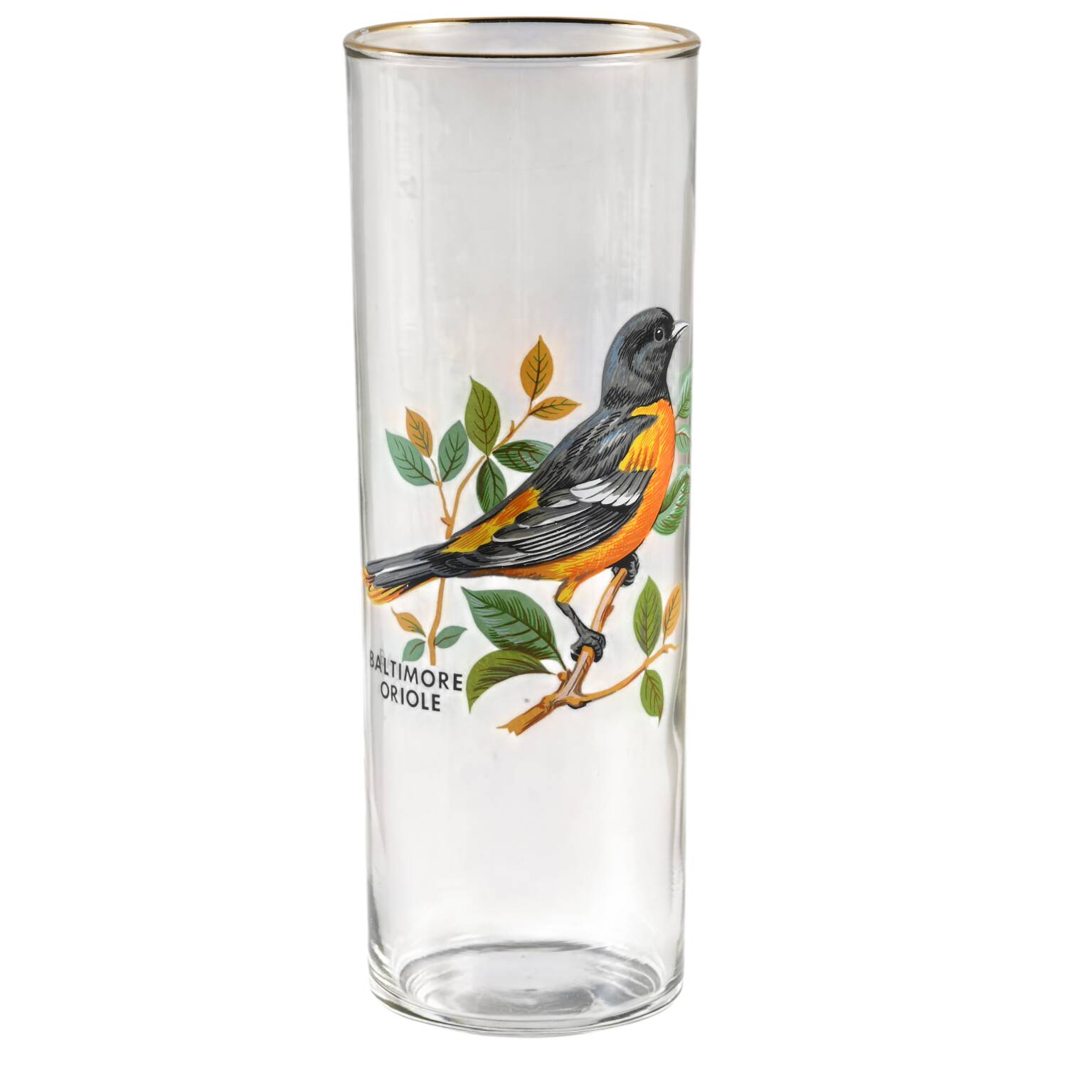 American Songbirds 12 Oz Flat Tumbler by West Virginia Glass Specialty-1