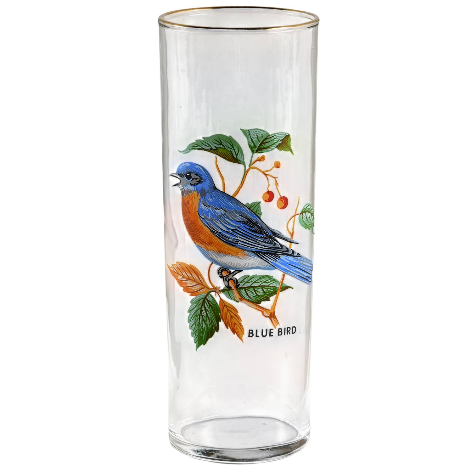 American Songbirds 12 Oz Flat Tumbler by West Virginia Glass Specialty-1