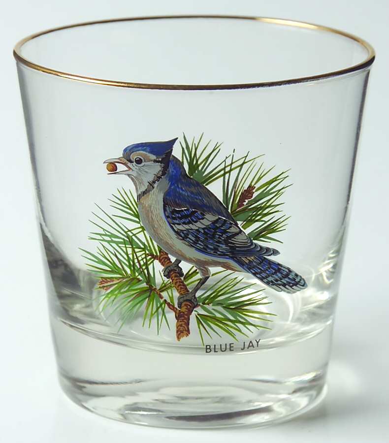 American Songbirds 8 Oz Flat Tumbler by West Virginia Glass Specialty-1