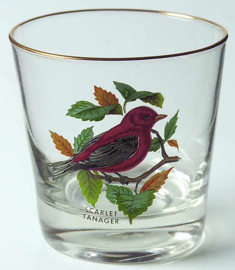American Songbirds 8 Oz Flat Tumbler by West Virginia Glass Specialty-1