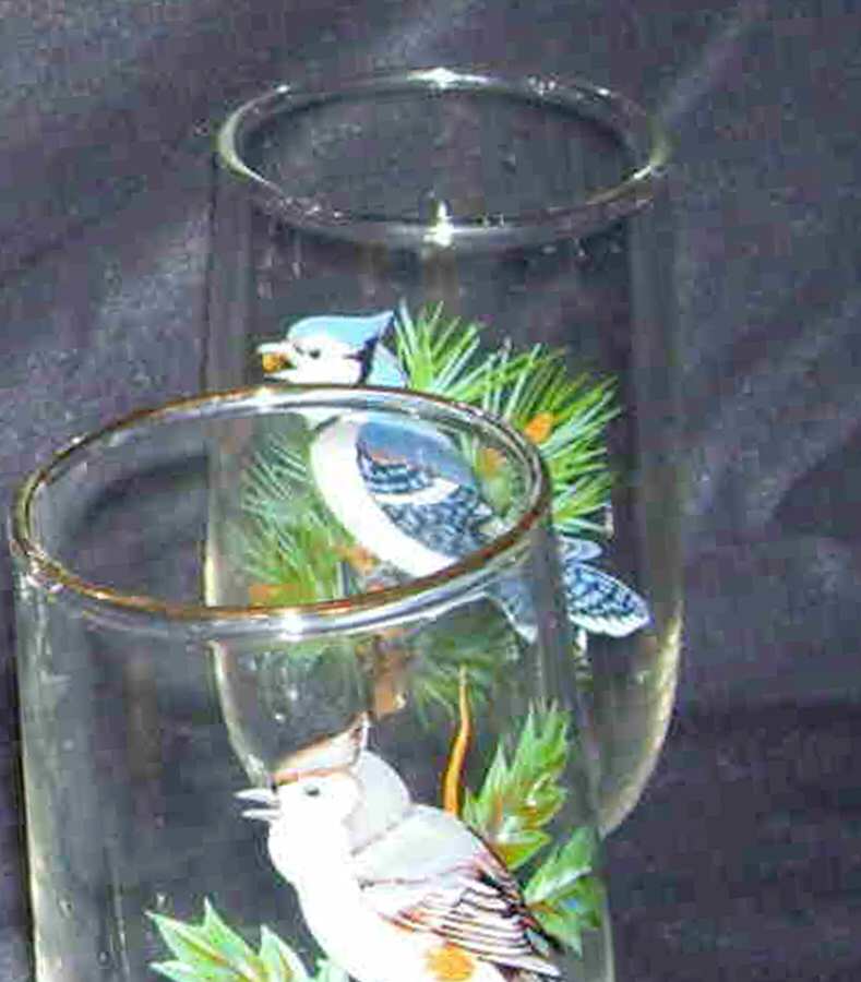 American Songbirds 5 Oz Flat Tumbler by West Virginia Glass Specialty-1
