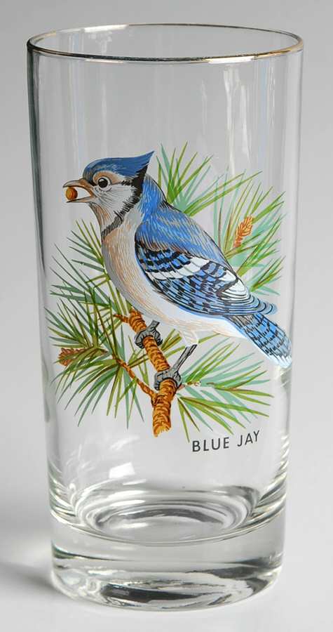 American Songbirds 12 Oz Flat Tumbler by West Virginia Glass Specialty-1