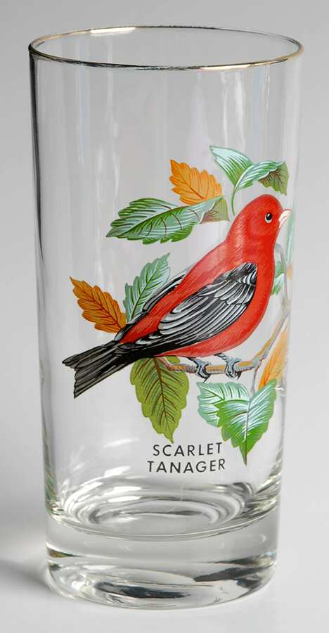 American Songbirds 12 Oz Flat Tumbler by West Virginia Glass Specialty-1
