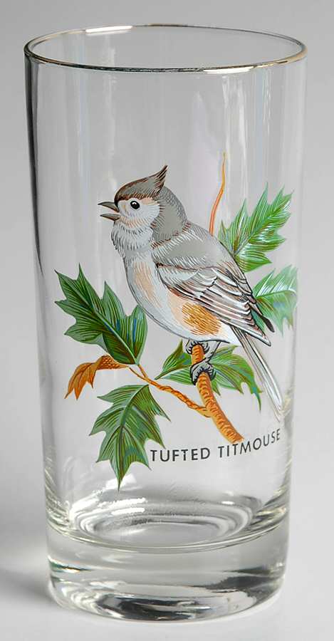 American Songbirds 12 Oz Flat Tumbler by West Virginia Glass Specialty-1