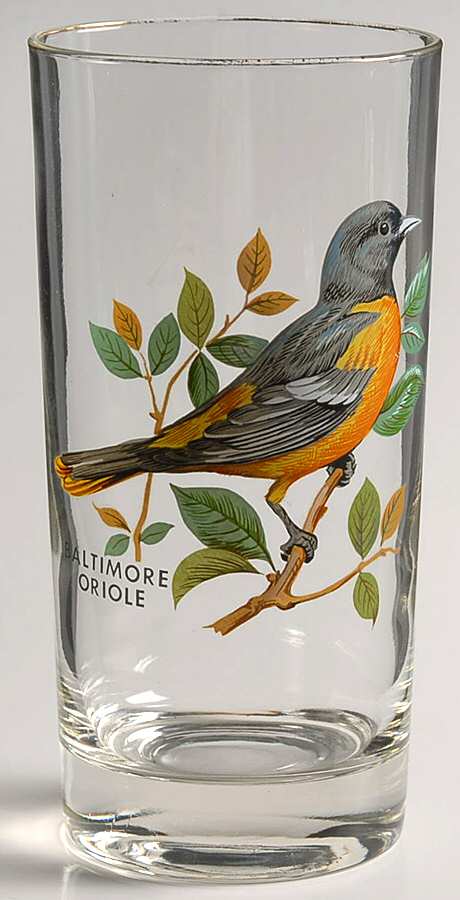 American Songbirds 12 Oz Flat Tumbler by West Virginia Glass Specialty-1