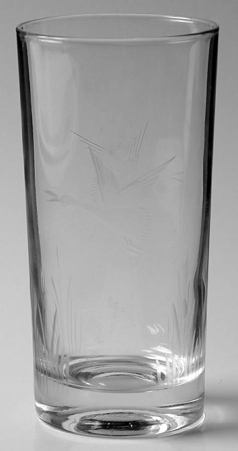 678-5 12 Oz Flat Tumbler by West Virginia Glass Specialty-1