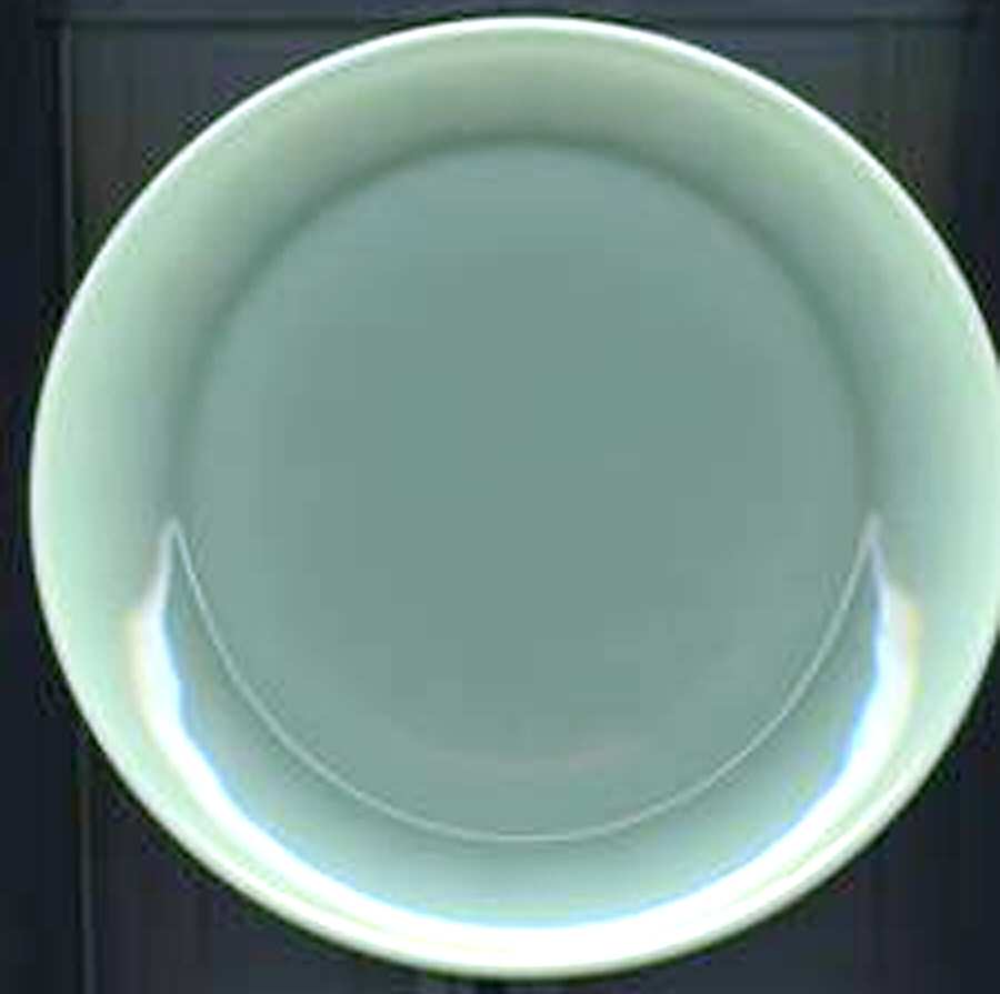 WMS12 Salad Plate by Williams-Sonoma-1