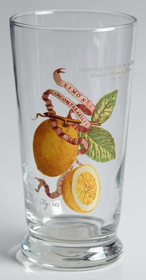 Citrus 12 Oz Flat Tumbler by Williams-Sonoma-1