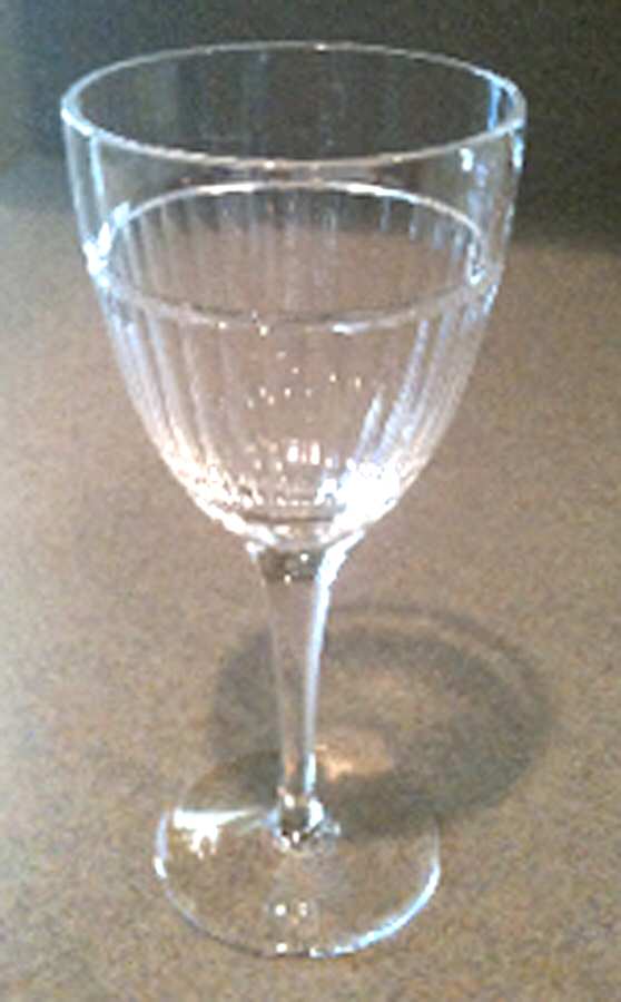 WMS15 Water Goblet by Williams-Sonoma-1
