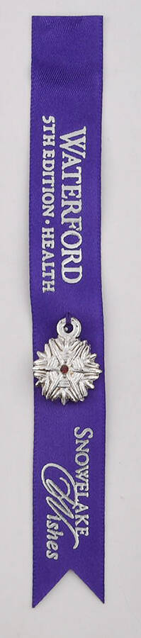 Snowflake Wishes Health Bracelet Charm by Waterford Crystal-1