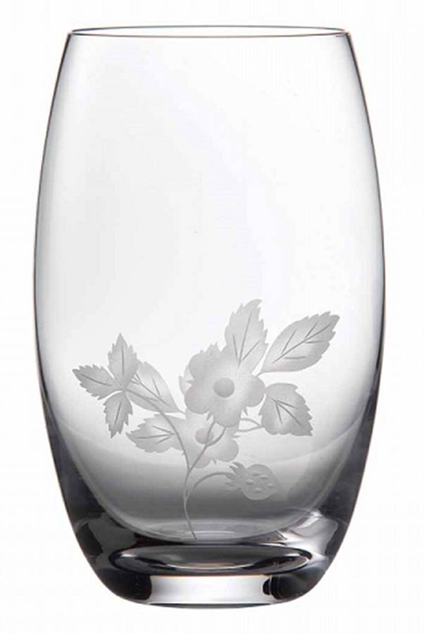 Wild Strawberry Al Fresco Tall Flat Tumbler by Wedgwood-1