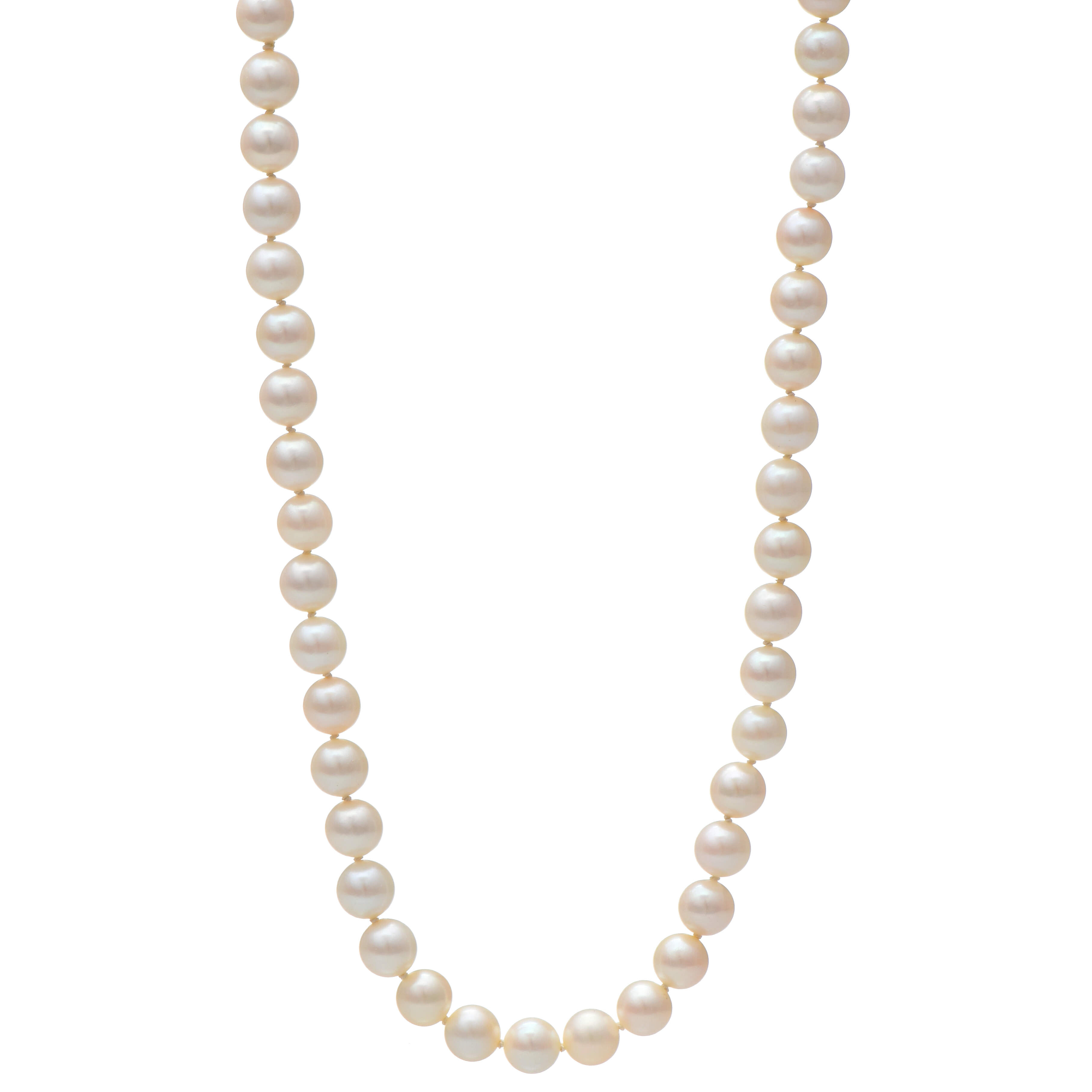 14KW Cultured Akoya Pearl Strand Necklace-1