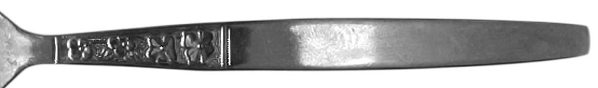 ACD1 (STAINLESS) Fork by Accord-1