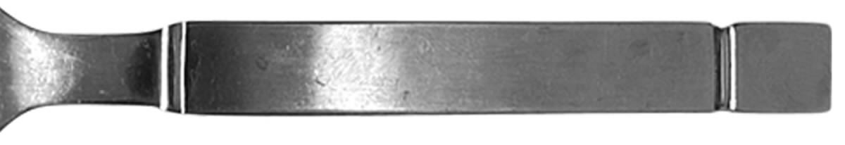 ACD2 (STAINLESS) Fork by Accord-1