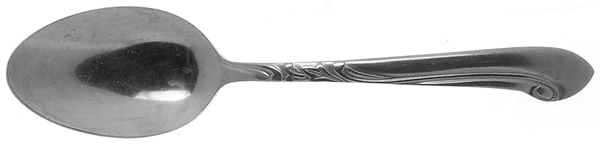 ACF1 (STAINLESS) Teaspoon by Acsons-1