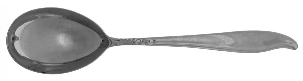 Dignity (Stainless) Solid Salad Serving Spoon by Acsons-1
