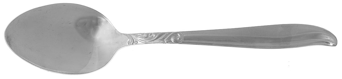 Dignity (Stainless) Teaspoon by Acsons-1