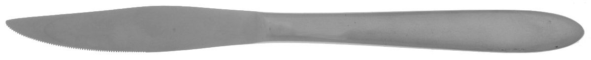 AEF5 (Stainless) Individual Steak Knife Hollow Handle by Amere-1
