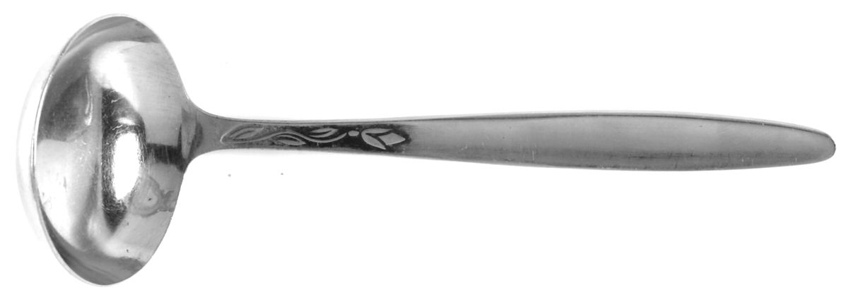 Tulip Time (Stainless) Solid Gravy Ladle by Amefa-1