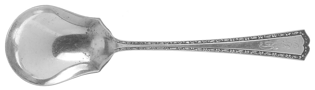 Orange Blossom-New (Sterling, 1920) Sugar Spoon by Alvin-1