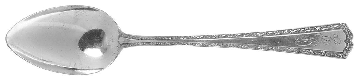 Orange Blossom-New (Sterling, 1920) Teaspoon by Alvin-1