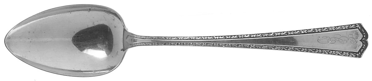 Orange Blossom-New (Sterling, 1920) Tablespoon (Serving Spoon) by Alvin-1