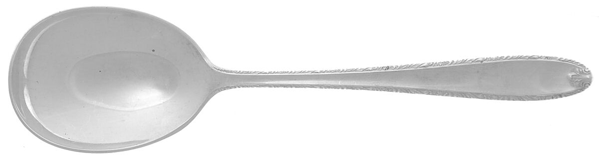 Southern Charm (Sterling, 1947) Sugar Spoon by Alvin-1