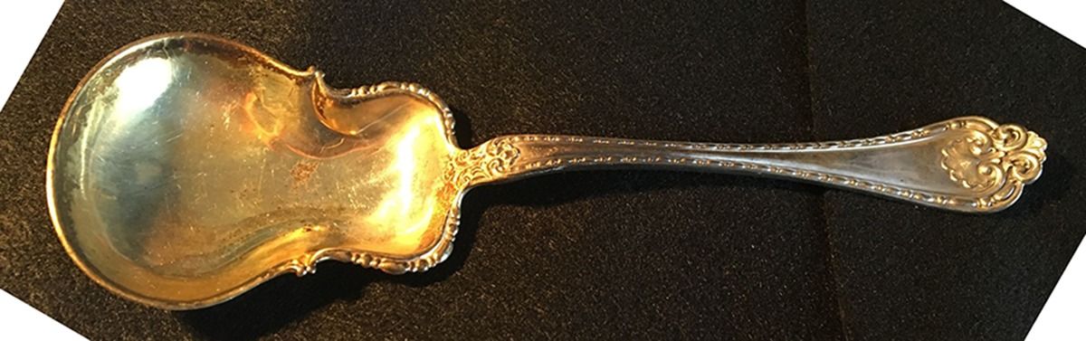 Wellington (Sterling, 1897) Small Solid Berry/Casserole Spoon by Alvin-1