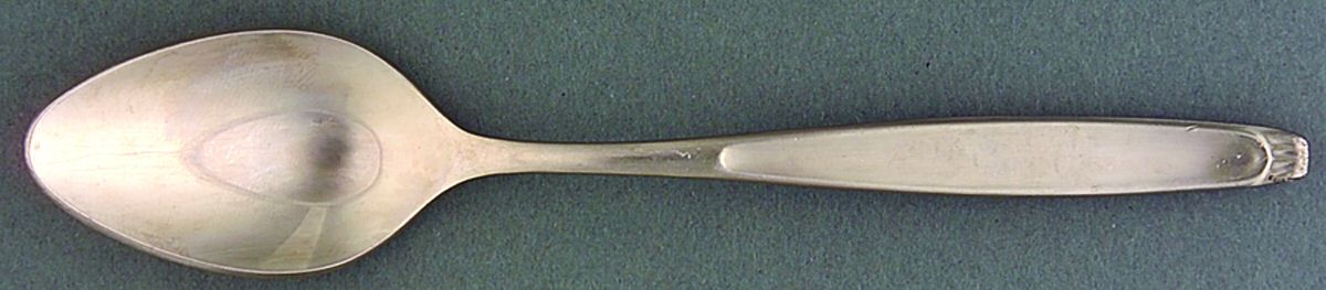 Contessa (Stainless) Teaspoon by AMC-1