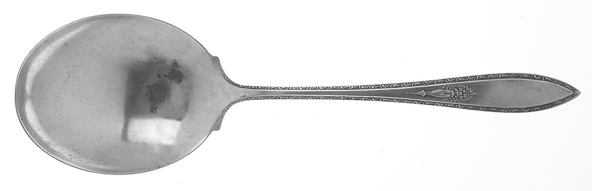 Lady Washington (Silverplate, 1925) Solid Smooth Casserole Spoon by Associated Silver-1