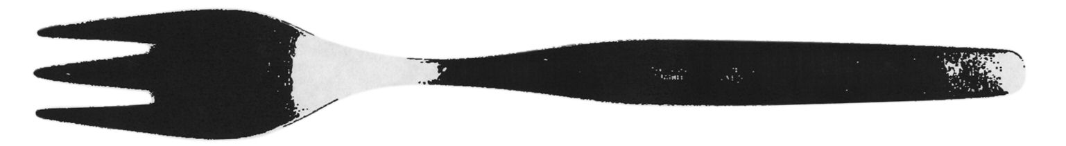 AZN1 (Stainless) Fork by Alfred Zanger & Co-1