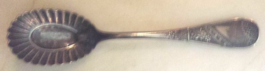 Warwick (Silverplate) Sugar Shell Spoon by Aurora-1