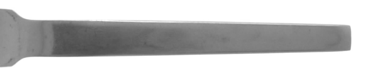 AFS21 (Stainless) Fork by Amefa-1