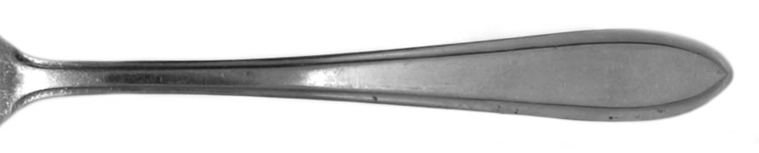AFS23 (Stainless) Fork by Amefa-1