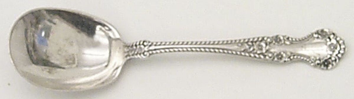 Cambridge (Sterling, 1899) Sugar Spoon by Alvin-1