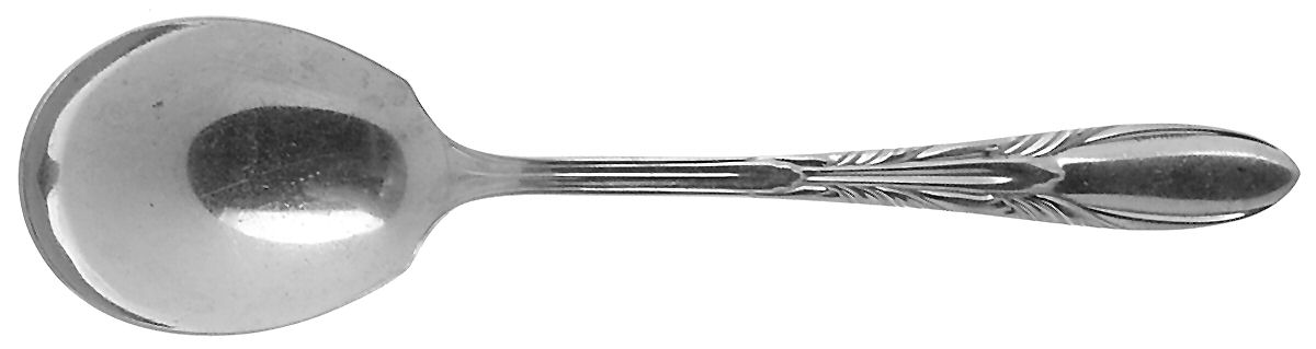 Ab2 (Stainless) Sugar Spoon by Arnbee-1