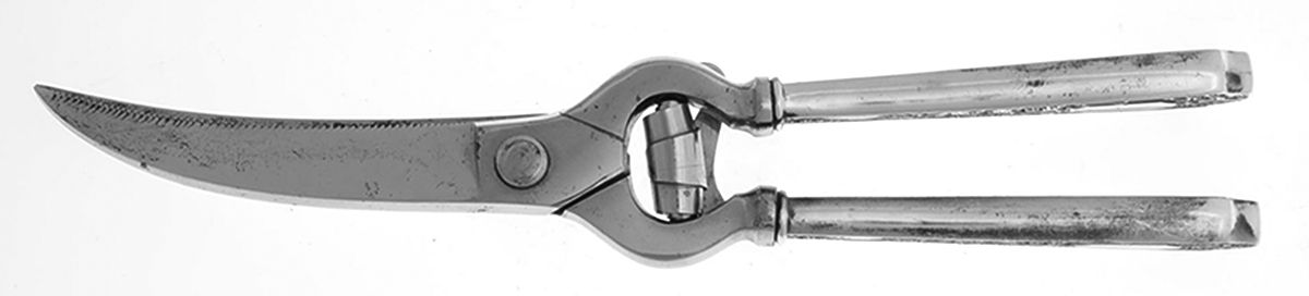 Cellini (Sterling, 1929, No Monograms) Poultry Shears with Stainless Blades by Alvin-1