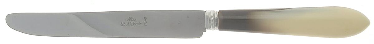 AJN2 (Stainless) New French Hollow Knife by Alain Saint Joanis-1