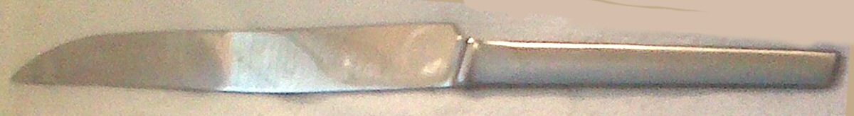 Asf4 (Stainless) Small Steak Carving Knife with Stainless Blade by Arthur Salm Flatware-1