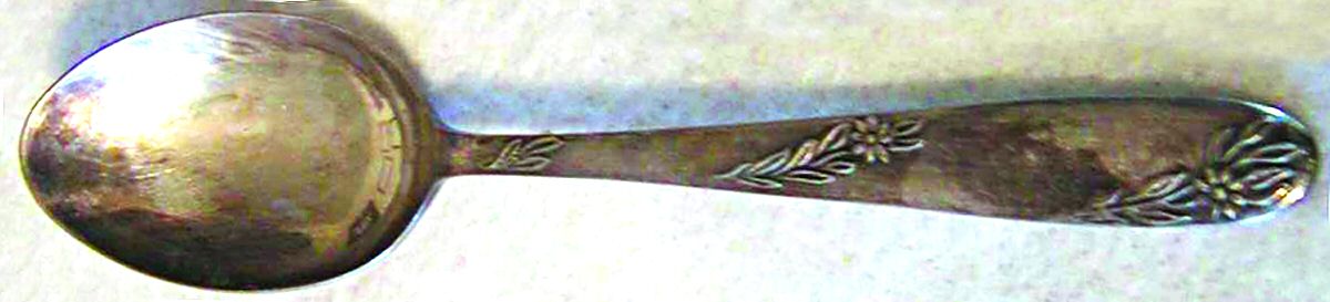 ANV4 (Silverplate) Teaspoon by Angora Silverplate-1