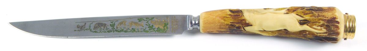 AWJ1 (Stainless) Individual Steak Knife Hollow Handle by Anton Wingen, Jr-1