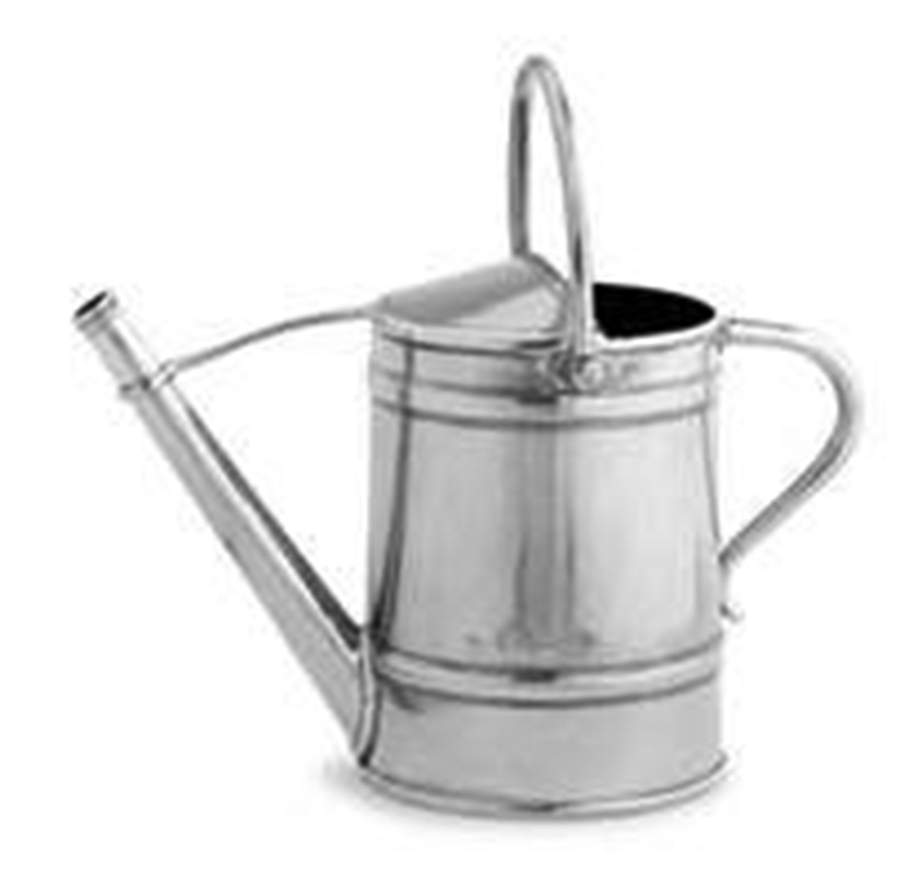 Peltro (Pewter, Hollowware) Watering Can by Arte Italica-1