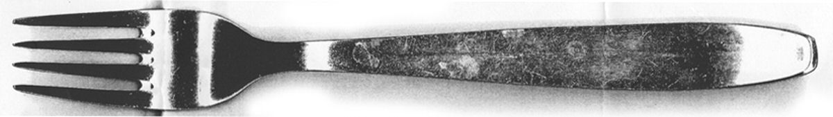 AEA1 (Silverplate) Fork by Albert Maus-1