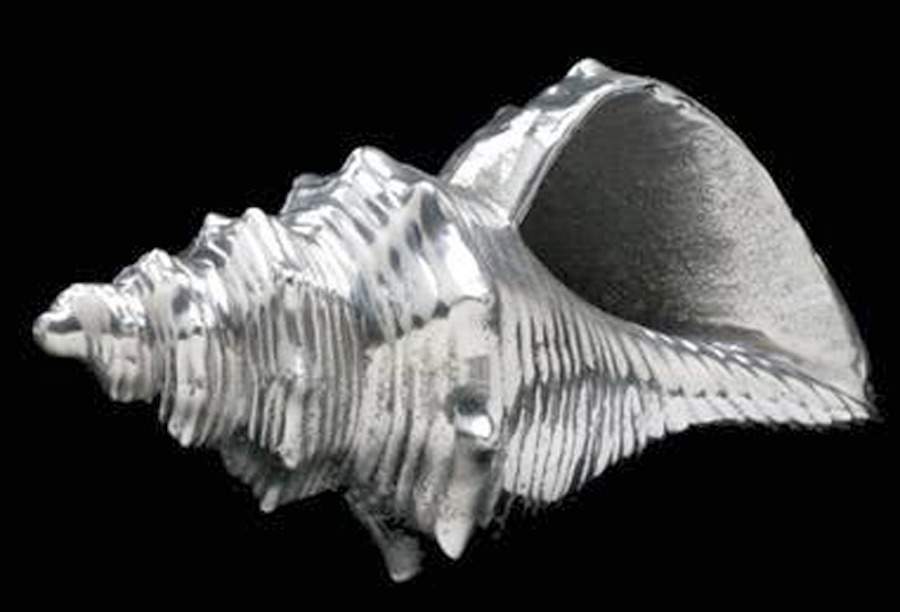 Wonders of the Water (Aluminum, Serveware) Conch Shell by Arthur Court-1