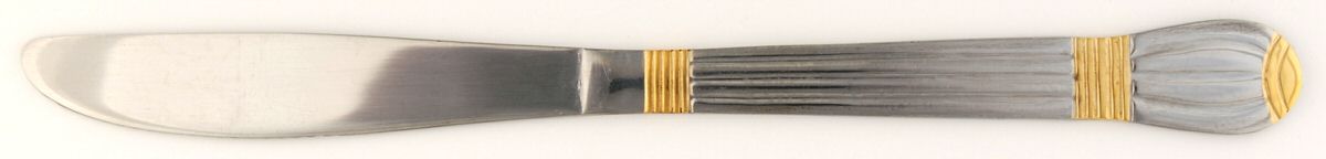 ACV5 (Stainless, Gold Accent) Modern Solid Knife by Alco-1