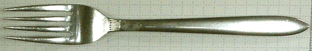 Triton (Stainless) Fork by Amcrest-1