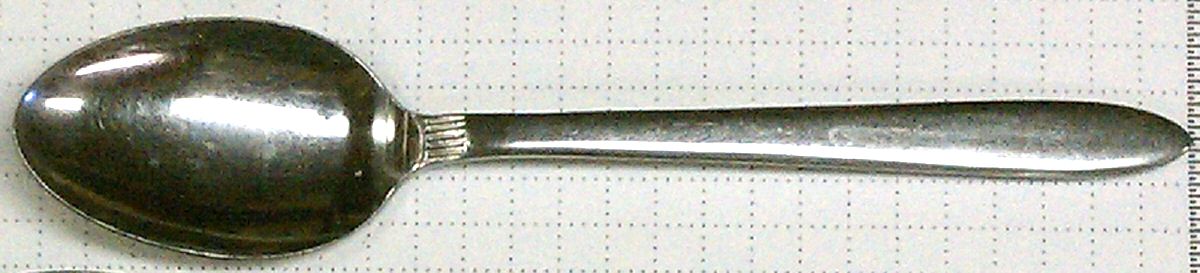 Triton (Stainless) Teaspoon by Amcrest-1