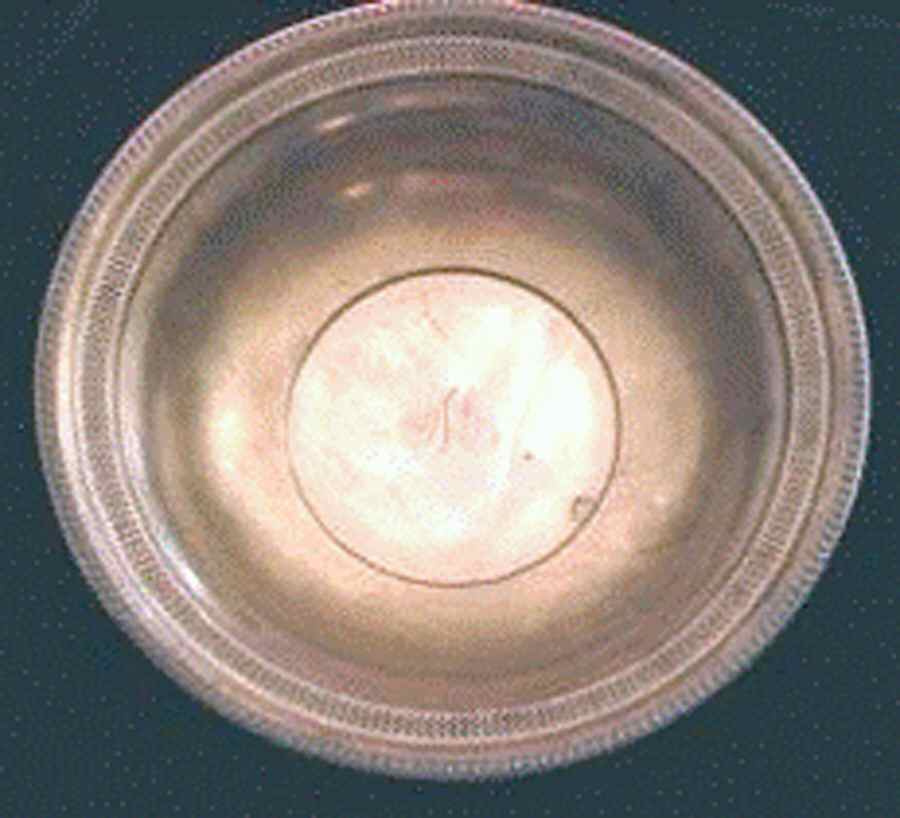 506 (Sterling, Hollowware) 9" Round Vegetable Bowl by Arrowsmith-1