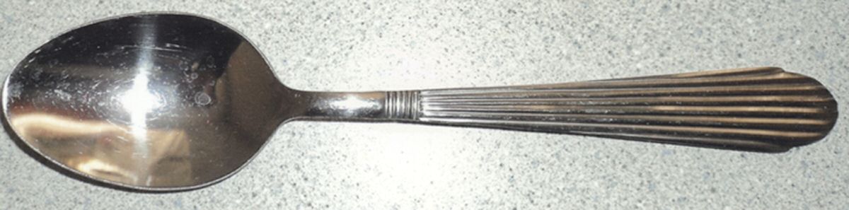 ACV7 (Stainless) Teaspoon by Alco-1